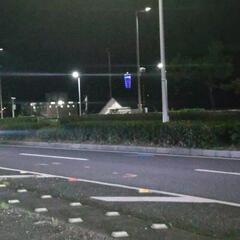 【完走】☆夏の夜空🐶今夜軽くナイツー