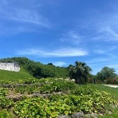 ランチ会しますよ☺️🎶 - 那覇市