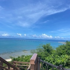ランチ会しますよ☺️🎶 - メンバー募集