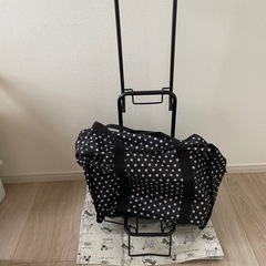 キャリーカートとバッグ