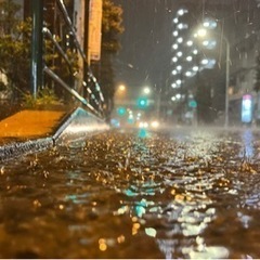 東京散策仲間とカメラ練習仲間の募集 - メンバー募集
