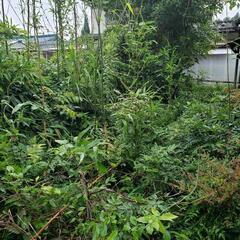草刈り