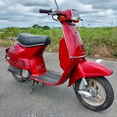 ホンダ タクト フルマーク カスタム レッド AB07型 198...