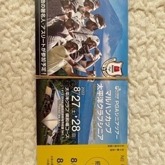 PGA シニアツアー　ゴルフトーナメント　チケット　8/27 8/28の画像