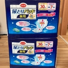 尿とりパッド　夜用　の画像