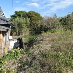 西之表市安城【契約済】県道沿宅地部分約122坪山林192坪付 - 不動産