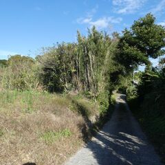 西之表市安城【契約済】県道沿宅地部分約122坪山林192坪付 - 土地販売/土地売買