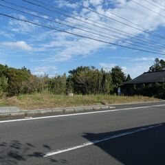 西之表市安城【契約済】県道沿宅地部分約122坪山林192坪付 − 鹿児島県