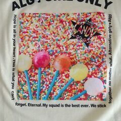 新品★ALGY★Tシャツの画像