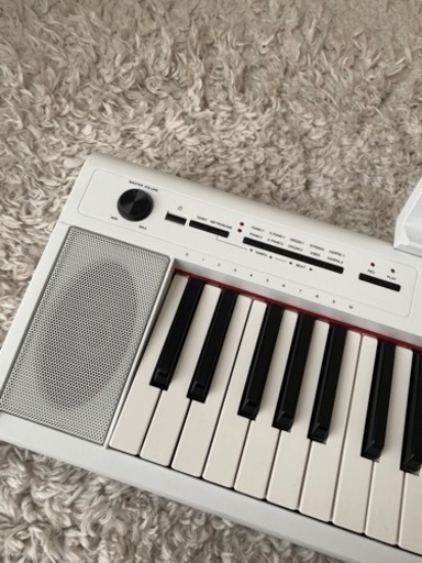 YAMAHA piaggero NP-12