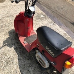 原付 ホンダ スカッシュ