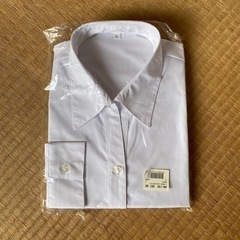 レディス　ブラウス4L 長袖