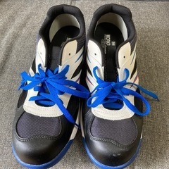 ⭐︎  安全靴 ほぼ新品未使用 28.0 最終値下げ⭐︎の画像