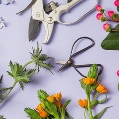 【短期アルバイト】花の加工スタッフ【最終日現金支払】