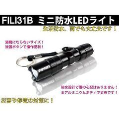ミニLEDハイパワー 防水 懐中電灯 ブラック