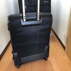 無料　DELSEY旅行用ピギーバック