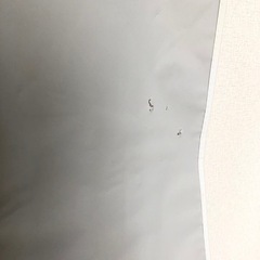 agnes.b スーツカバーの画像