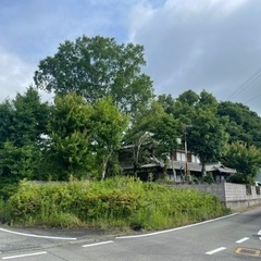 草刈　木の伐採等　¥10000〜