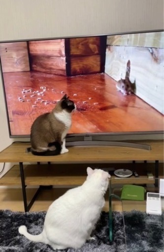 ニトリテレビ台
