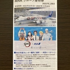 ANA 株主優待　2022年11月30日までの画像