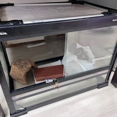 【お話中】爬虫類飼育セット