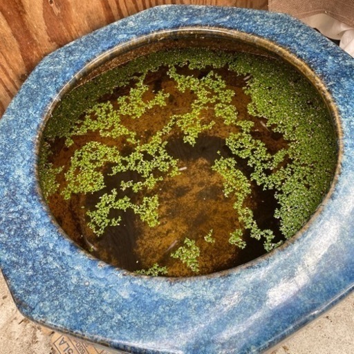 大きくて古い火鉢