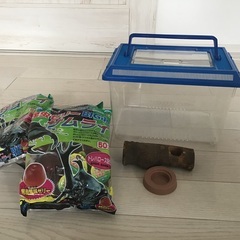 大きめ飼育ケース青♪虫カゴ？♪カブトムシ、クワガタ飼育に。夏休み♪自由研究に!エサ皿、ゼリー付の画像