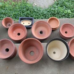 植木鉢【中古】いろいろ③の画像