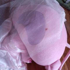 ぬいぐるみセットの画像