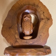 屋久杉