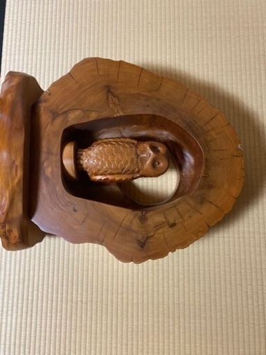 屋久杉