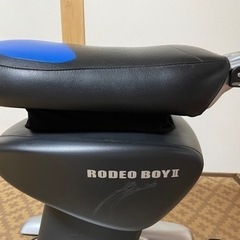 ロデオボーイ２の画像