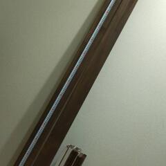 板材、木材と、塗料の画像