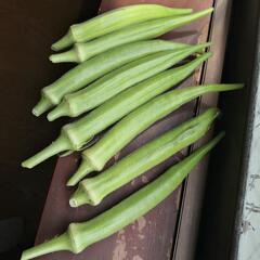 予約受け付け中    数量限定   野菜色々 の画像