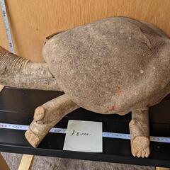 木の亀の画像