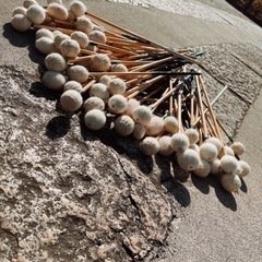 練馬区大泉学園でマリンバ教室の画像