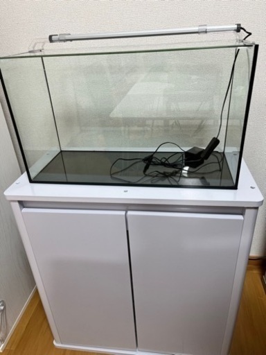 50センチ水槽、水槽台、LEDライトもセットで売ります
