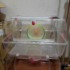 ルーミィベーシック② 回し車 給水器付き