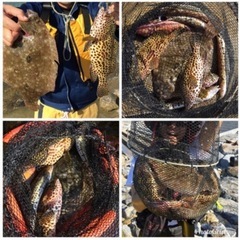カヤックメンバー募集 - 浦添市