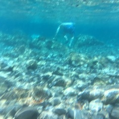 ヒリゾ浜にシュノーケリング行きませんか？
