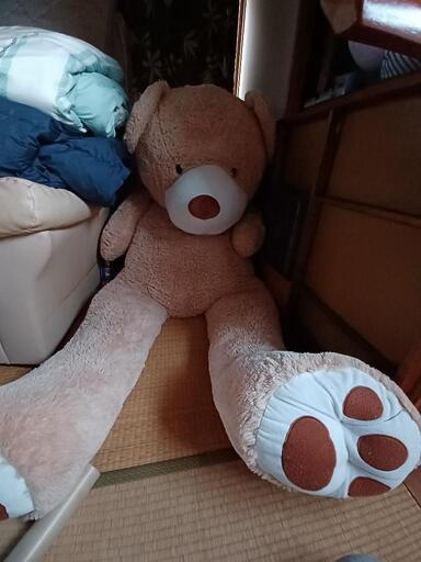 くまのぬいぐるみになります。