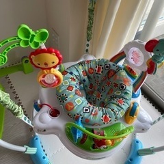 【値下げ！月末まで】フィッシャープライス レインフォレスト・ジャンパルー の画像