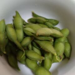 西瑞江で土地を無料で貸してください。