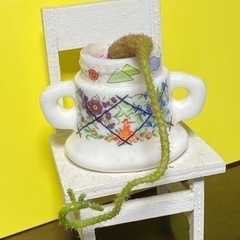 白檀の画像