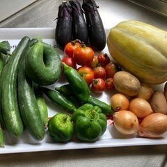 ⭐️決まりました！⭐️お得🌸夏野菜セット🌸てんこ盛り🌸自宅お引き...