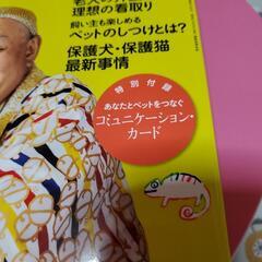 ペットとスピリチュアルに暮らすの画像