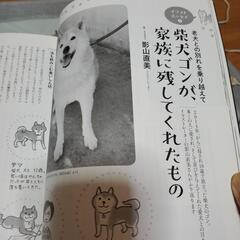 ペットとスピリチュアルに暮らすの画像