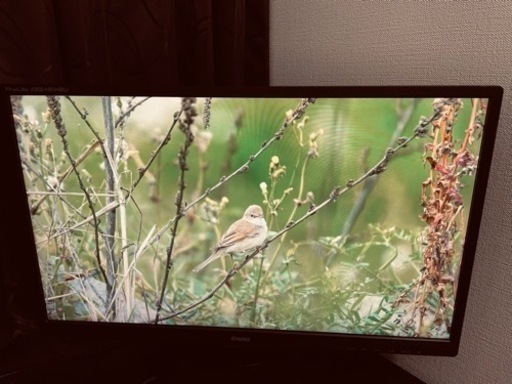 【取引相手決定】iiyama モニター ディスプレイ XB2481HSU-B1 (23.8インチ/フルHD/AMVA/HDMI,D-s