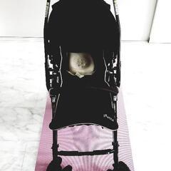 ☆値下げ☆ベビーカー★Aprica☆piatta☆アップリカ☆ピ...