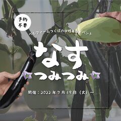 有機ナスの収穫体験イベント『なすつみつみ』